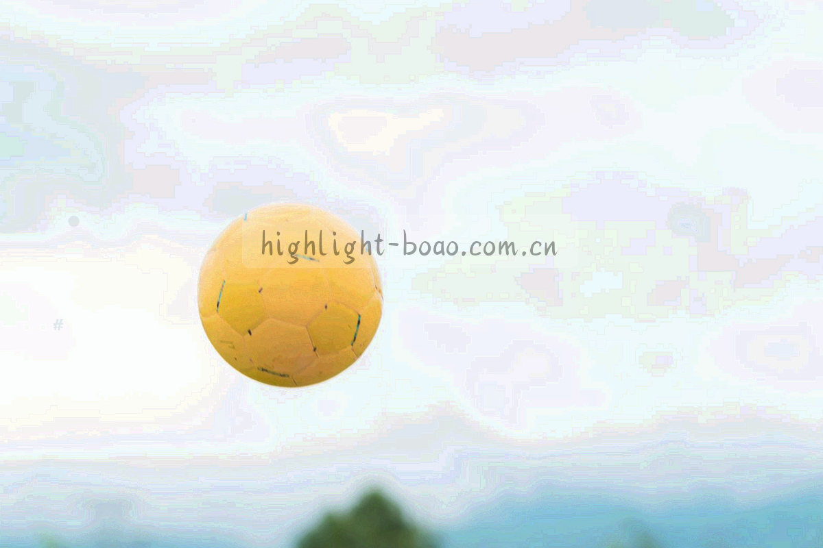 档案架上整齐排列的文件夹侧面，每一格都贴着清晰的编号标签